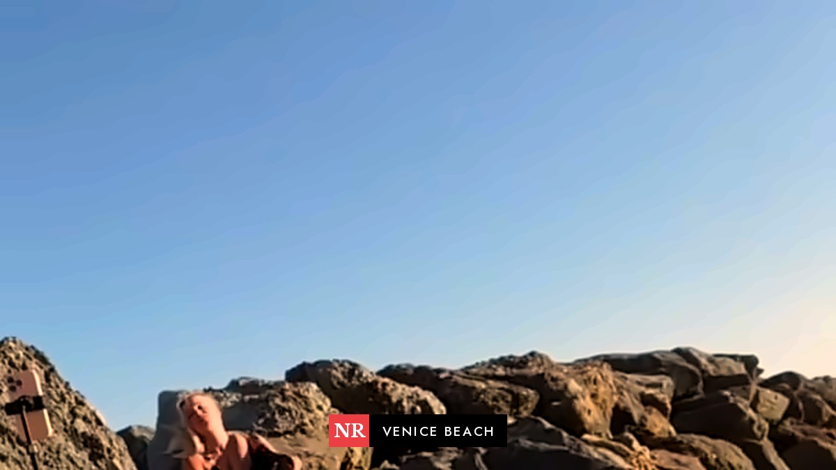 One second you’re admiring the soft…#venicebeach #losangeles #california #venice #santamonica #la